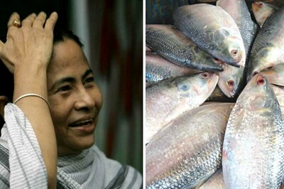 Dhaka Sends Hilsa, Molasses, Sari for Mamata's Swearing-in Ceremony