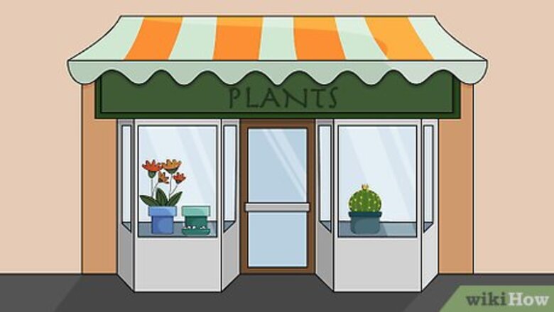 How to Grow Houseplants