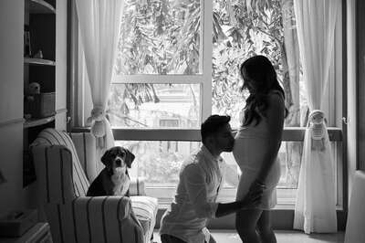 Varun Dhawan-Natasha Dalal Announce Pregnancy, Actor Kisses Wife's Baby Bump In Heartwarming Photo