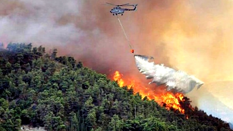 Dry Spell and High Temperature Triggers Forest Fires in Himachal