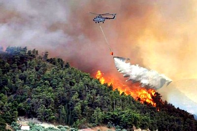 Dry Spell and High Temperature Triggers Forest Fires in Himachal