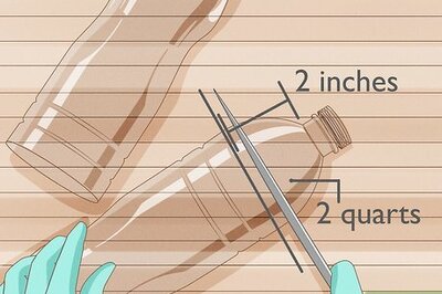 How to Make a Bottle Ecosystem