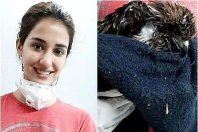 Disha Patani Rescues Injured Kite Amid COVID-19 Lockdown, See Pic