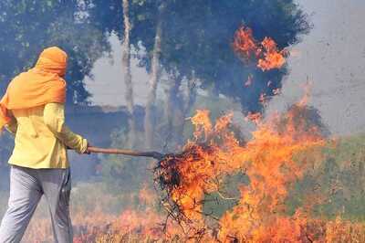 Science-Wise | No End in Sight to Farm Fires, Why Amritsar is a Hotspot of Stubble Burning This Season