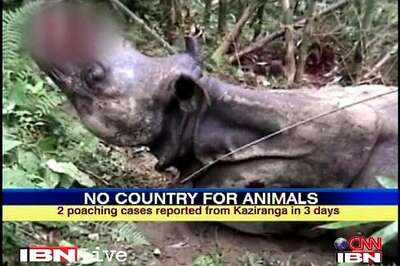 Govt sanctions Rs 1 crore package for Kaziranga