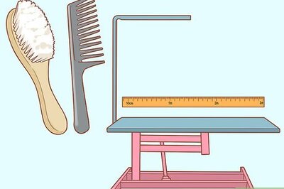 How to Groom a Wheaten Terrier
