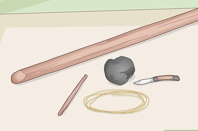 How to Trap a Backyard Bird