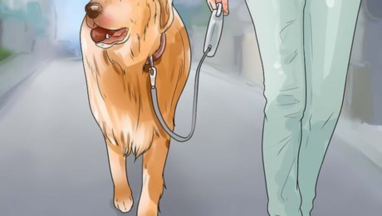 How to Walk Two Dogs