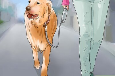 How to Walk Two Dogs