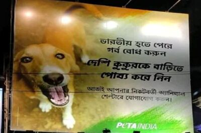 PETA Urges People to Adopt Street Dogs in Bengal's Durgapur