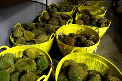 Chinese Hunger for 'World's Smelliest Fruit' Durian Threatens Malaysian Forests