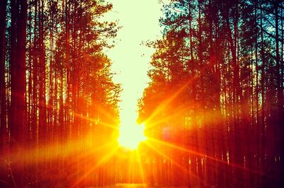 Aaj Ka Panchang, July 29, 2024: Tithi, Vrat, and Today’s Shubh, Ashubh Muhurat