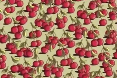 Optical Illusion: Find Tomato Among Cherries In 7 Seconds