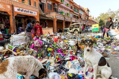 'We Want to Go Green, But...': Ban on Single-use Plastic with No Cheap Option Leaves Vendors Anxious