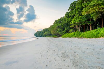 How To Reach Radhanagar Beach; Ranked Among World’s Top 10 Beaches