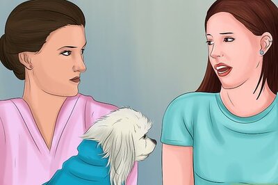 How to Draft a Pet Protection Agreement