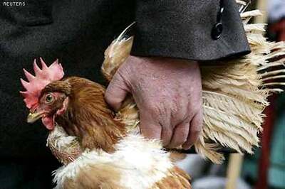 New strain of bird flu infects four others in China