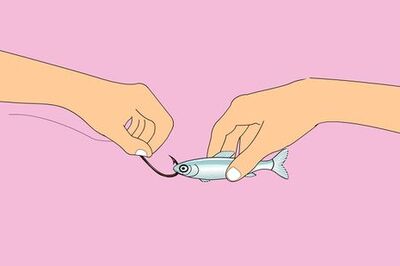 How to Bait a Hook with a Live Minnow