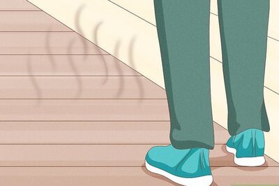 How to Remove Dead Animal Odor