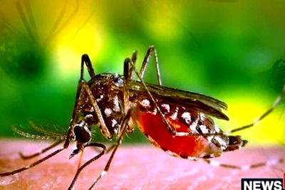 Top Similarities And Differences Between COVID-19 And Dengue Symptoms