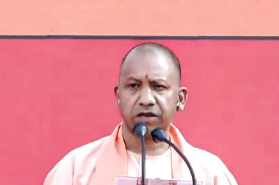 Set Up Cow Shelters at Block Level: CM Yogi Adityanath to UP Officials