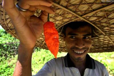 Army's new weapon: world's hottest chili