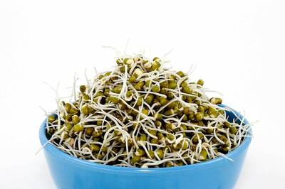 Sprout Dishes: Here’s How to Add Taste to Your Healthy Snacking