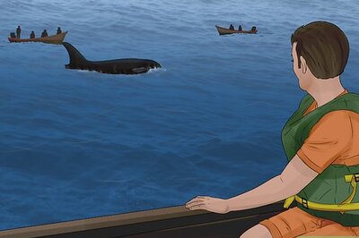 How to Identify Whales