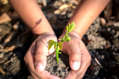 The Future is in Our Hands. Let’s Make It Sustainable