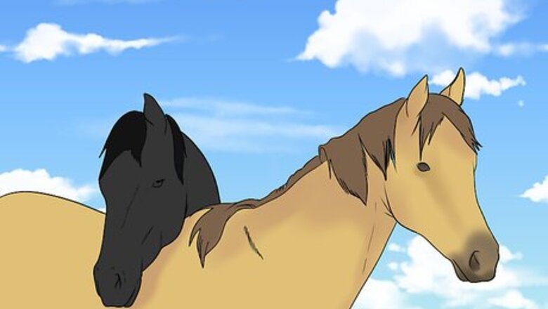How to Load a Frightened Horse Into a Horse Trailer