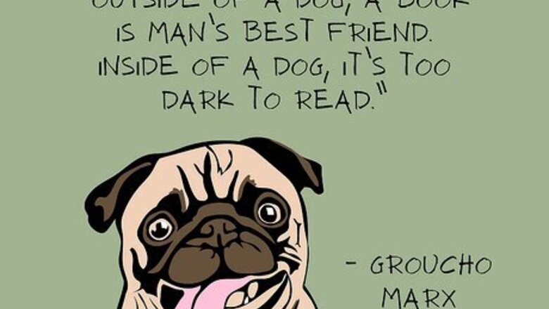 210+ Stupid Funny Lines & Sayings to Get Everyone Laughing