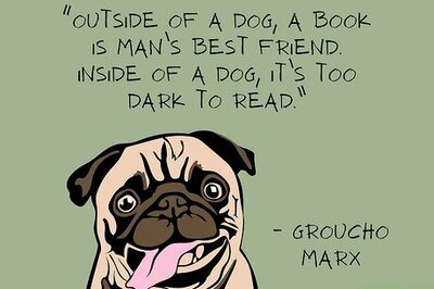 210+ Stupid Funny Lines & Sayings to Get Everyone Laughing