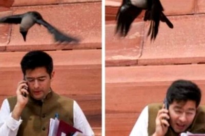 Crow 'Attack' on AAP's Raghav Chadha: BJP's 'Jhooth Bole Kauwa Kaate' Jibe Met With Ramayana Retort