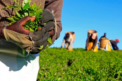 To Boost Tourism, Karnataka Govt to Install Ropeway at Nandi Hills, Conserve Archaeological Monuments