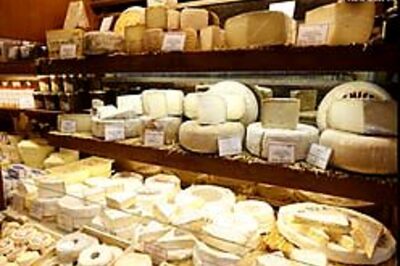 Have a cheese sandwich to make the right decisions