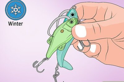 How to Choose Lures for Bass Fishing