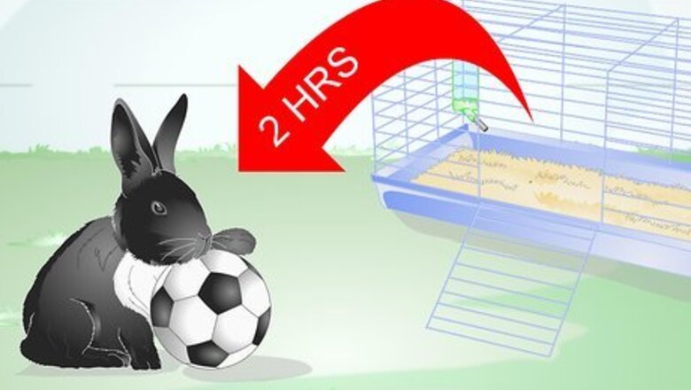 How to Keep Your Rabbit Slim