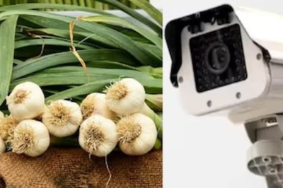 Madhya Pradesh Farmers Deploy Innovative Security Measures Amid Fears Of Garlic Theft