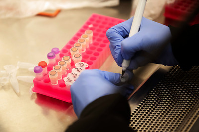 Ashwagandha Can be Effective Covid-19 Preventive Drug, Finds Research by IIT-Delhi and Japan's AIST