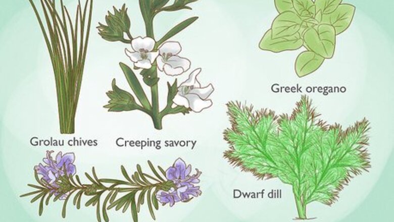 How to Grow Herbs Indoors Under Lights