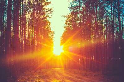 UV Dangers and Vitamin D: Finding the Right Sun Balance