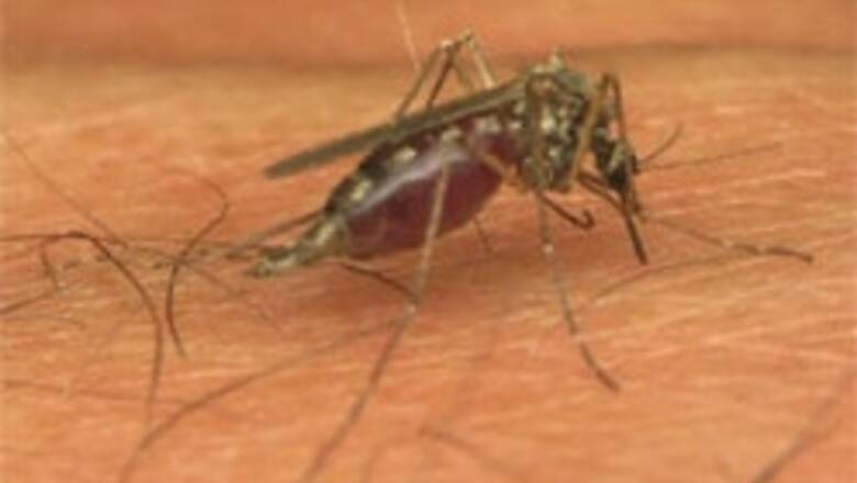 Dengue claims 5 more, 292 new cases