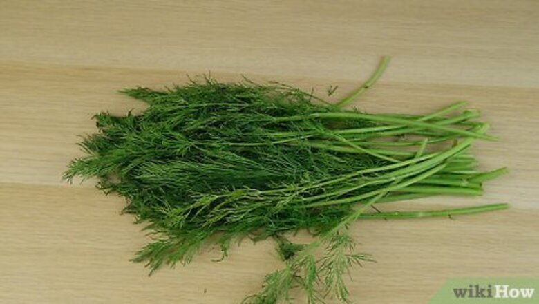 How to Preserve Dill