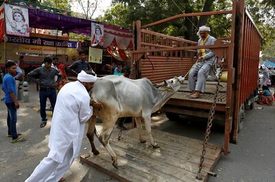 Centre's Notification on Cattle Sale Reeks of RSS' Agenda: Kerala Minister