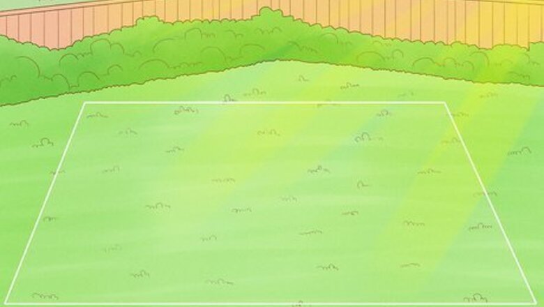 How to Grow an Herb Garden