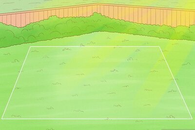 How to Grow an Herb Garden