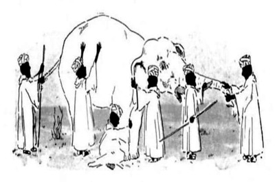 What epistemology and elephants can teach about perspectives