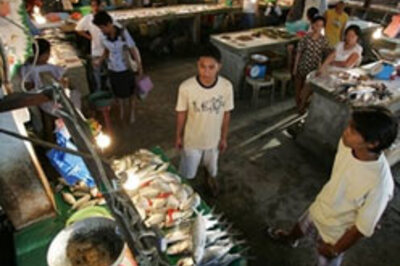 Seafood poisoning rises with warming