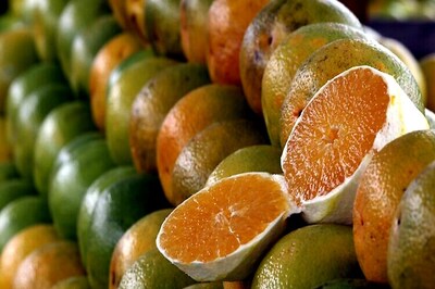 UK to work with India on creating a cold food chain