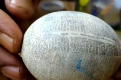 With His Stunning Eggshell Masterpieces, Micro Artist Ratan Shah Makes It To India Book Of Records